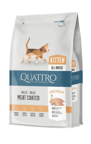 קוואטרו-חתולים-1.5