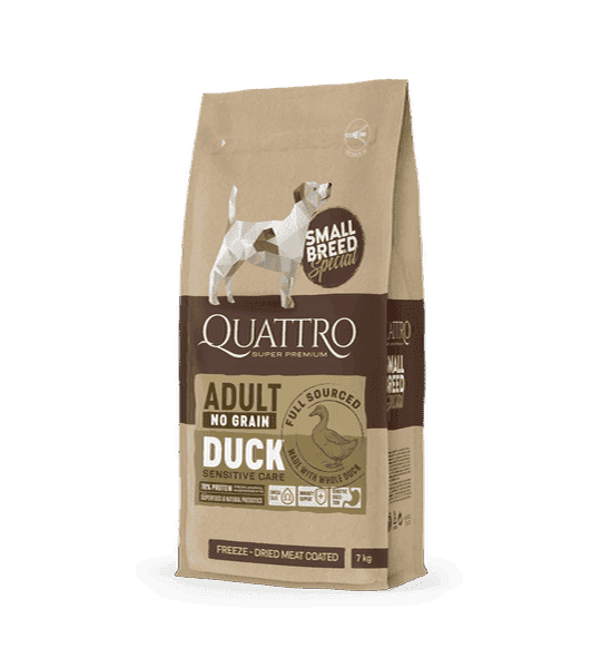 קוואטרו ברווז