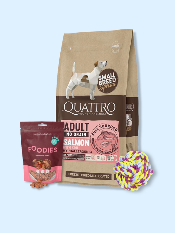 מארז לכלב בוגר מגזע קטן, קוואטרו ללא דגנים היפואלרגני סלמון 1.5 ק"ג + חטיף + צעצוע
