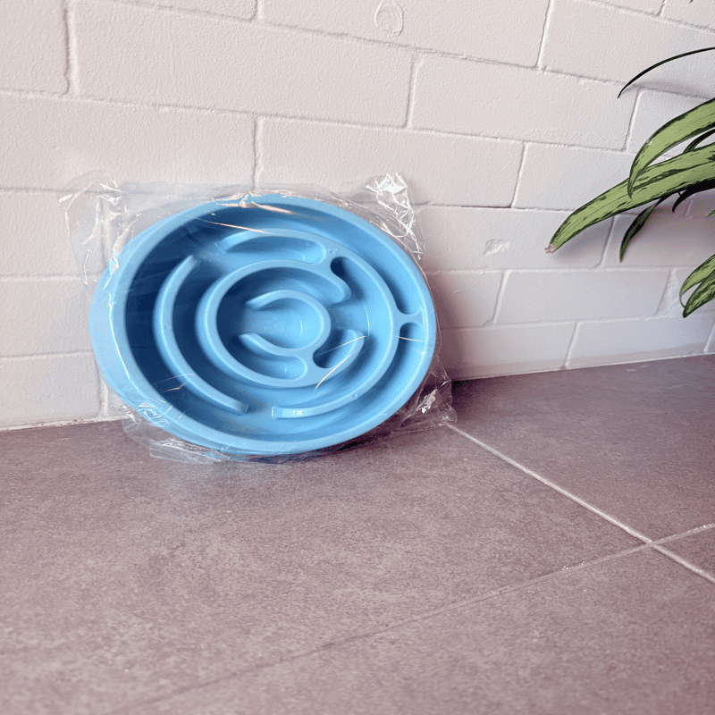 קערת האכלה איטית לכלבים – כחול/ורוד – תמונה 2